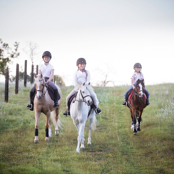 Meet your Posher, Sandra - Picture 2 of 5